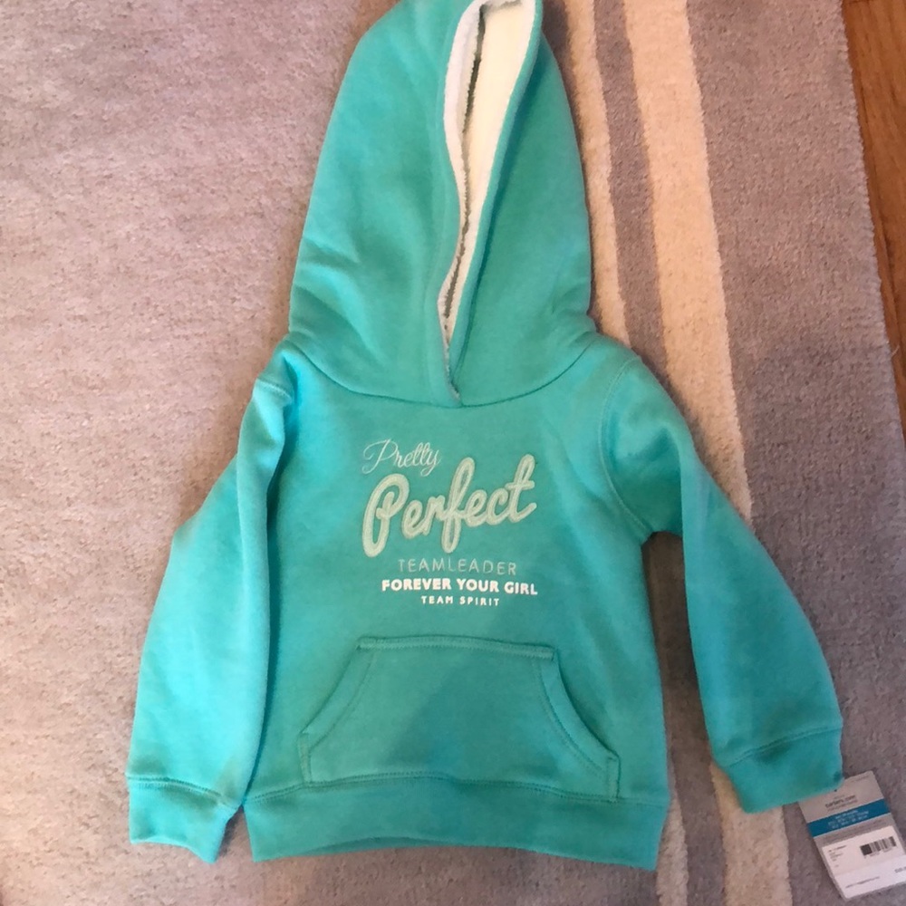 Carter’s sweatshirt with lines hood NWT